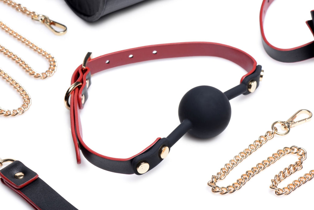 Master Series (США) Набір БДСМ з дорожньою сумкою Master Series: Bow — Luxury BDSM Set With Travel Bag, 11 предметів