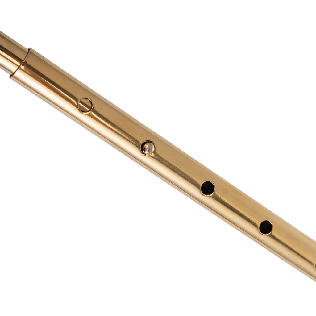 LOCKINK (Китай) Анальний гак LOCKINK Golden Adjustable Anal Hook Set
