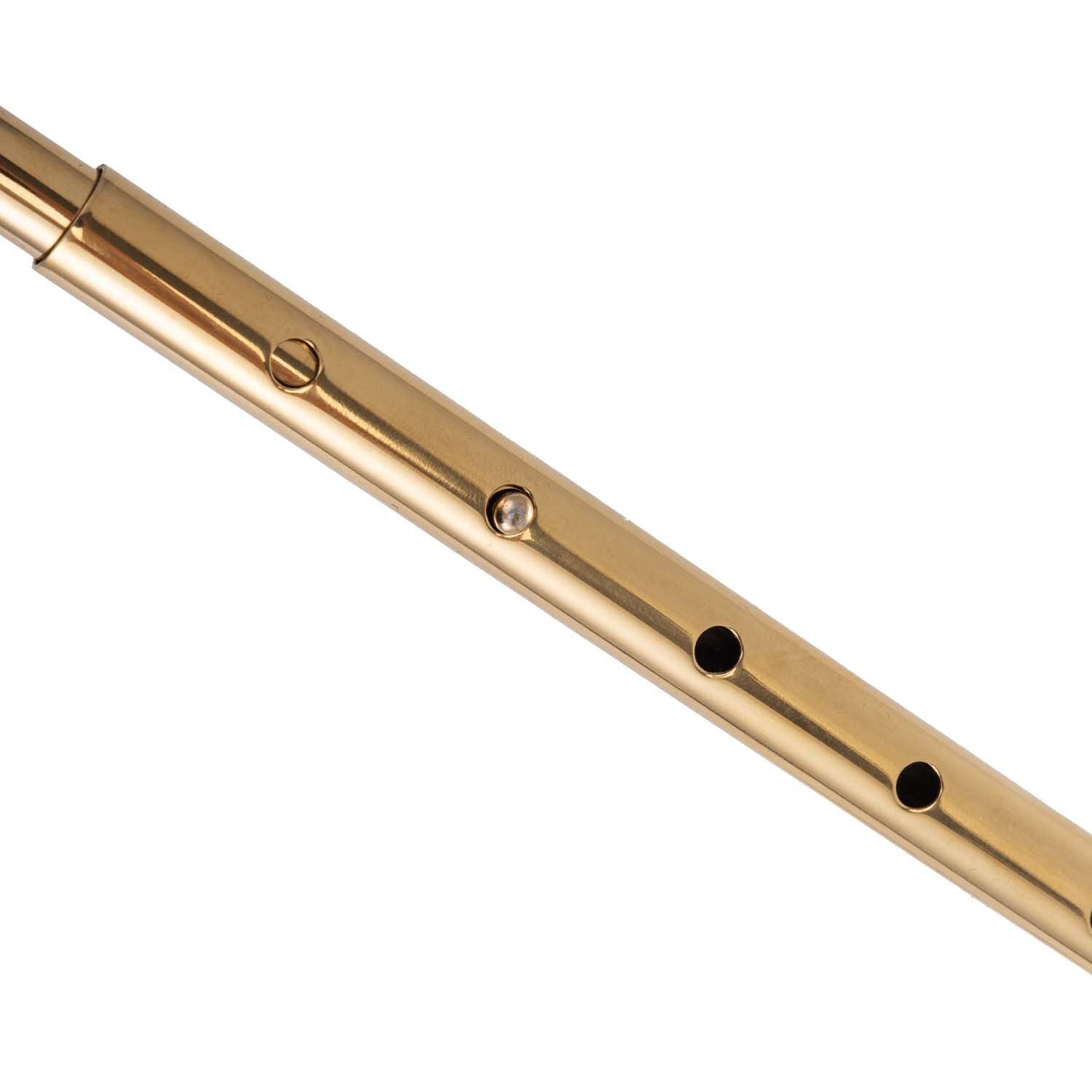 LOCKINK (Китай) Анальний гак LOCKINK Golden Adjustable Anal Hook Set