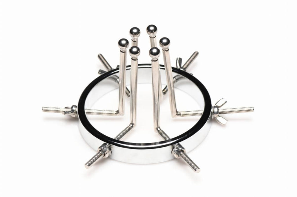 Master Series (США) Анальний розширювач Master Series Oculus Stainless Steel Anal Explorer
