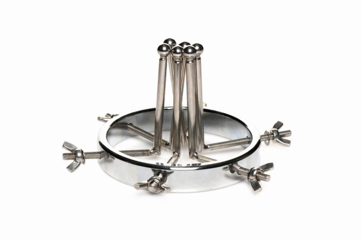 Master Series (США) Анальний розширювач Master Series Oculus Stainless Steel Anal Explorer