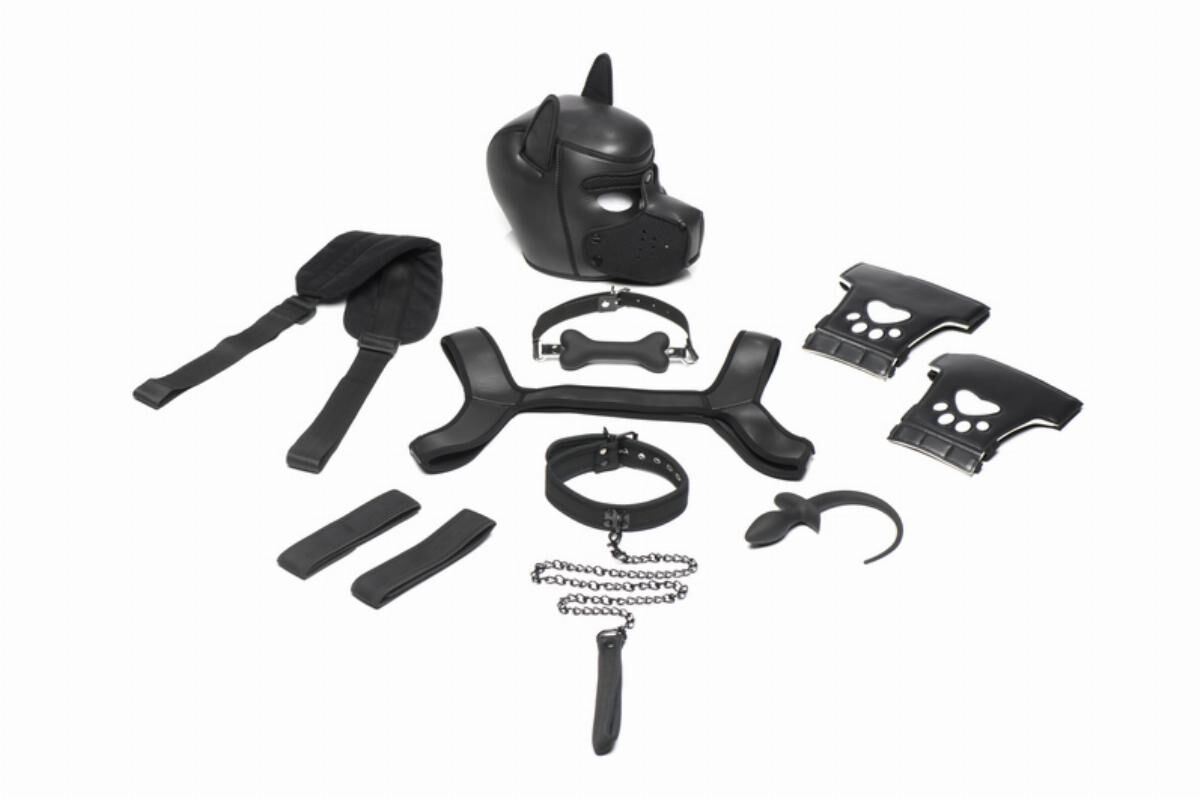 Master Series (США) Набір BDSM цуценя Master Series Luxury Pup Arsenal Set - Black
