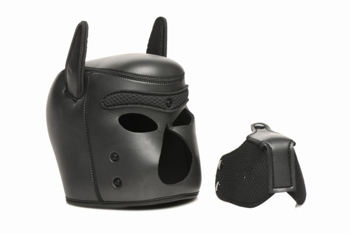 Master Series (США) Набір BDSM цуценя Master Series Luxury Pup Arsenal Set - Black