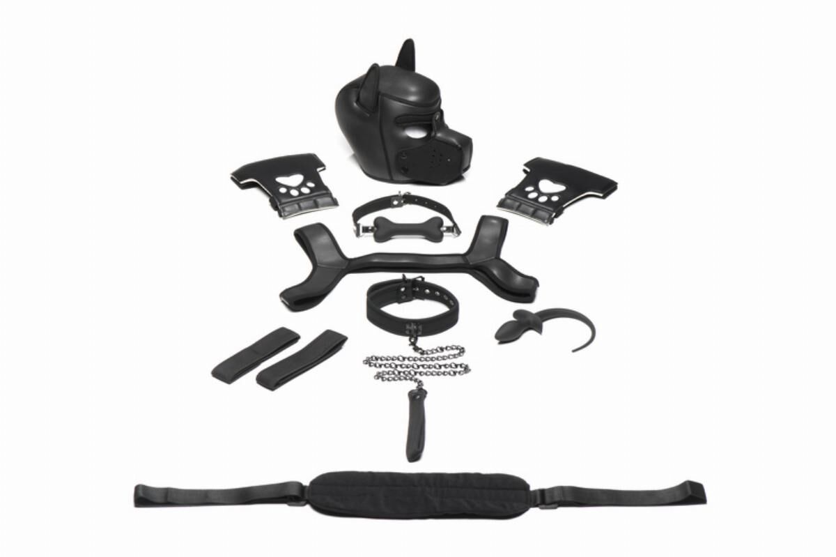 Master Series (США) Набір BDSM цуценя Master Series Luxury Pup Arsenal Set - Black