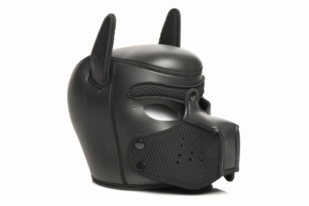 Master Series (США) Набір BDSM цуценя Master Series Luxury Pup Arsenal Set - Black