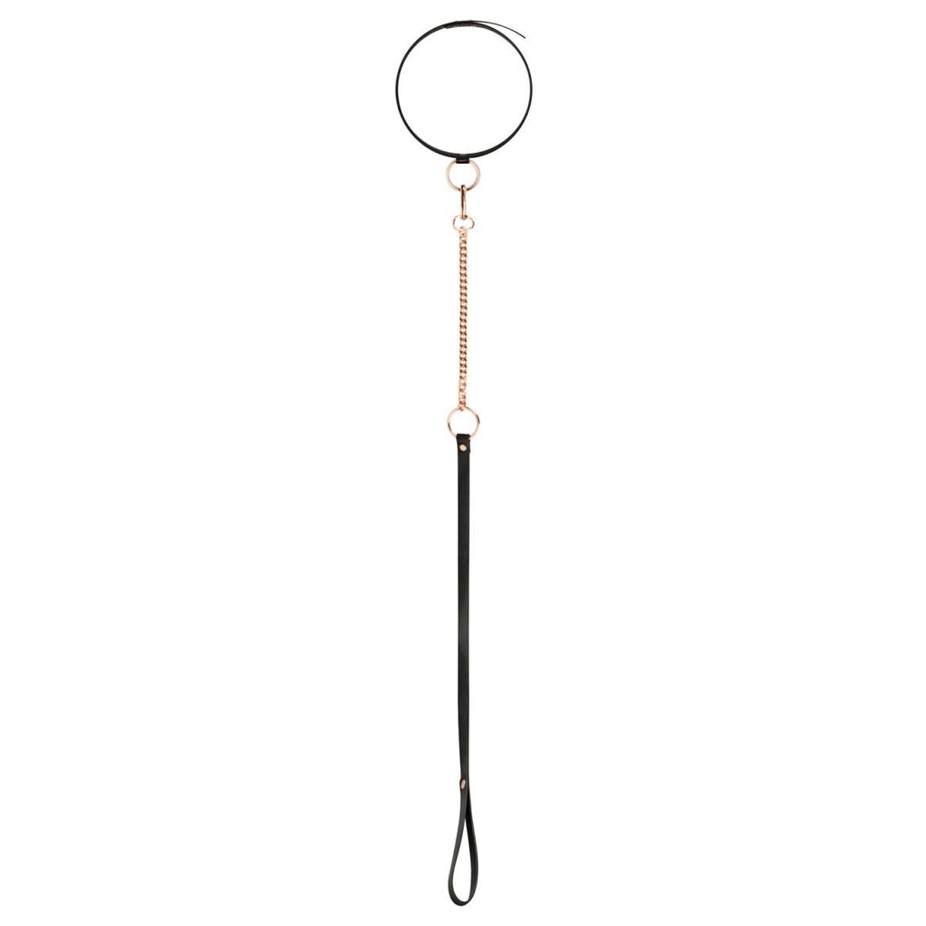 Rosy Gold (Нідерланди) Нашийник з повідцем Rosy Gold - Collar with Leash - Black