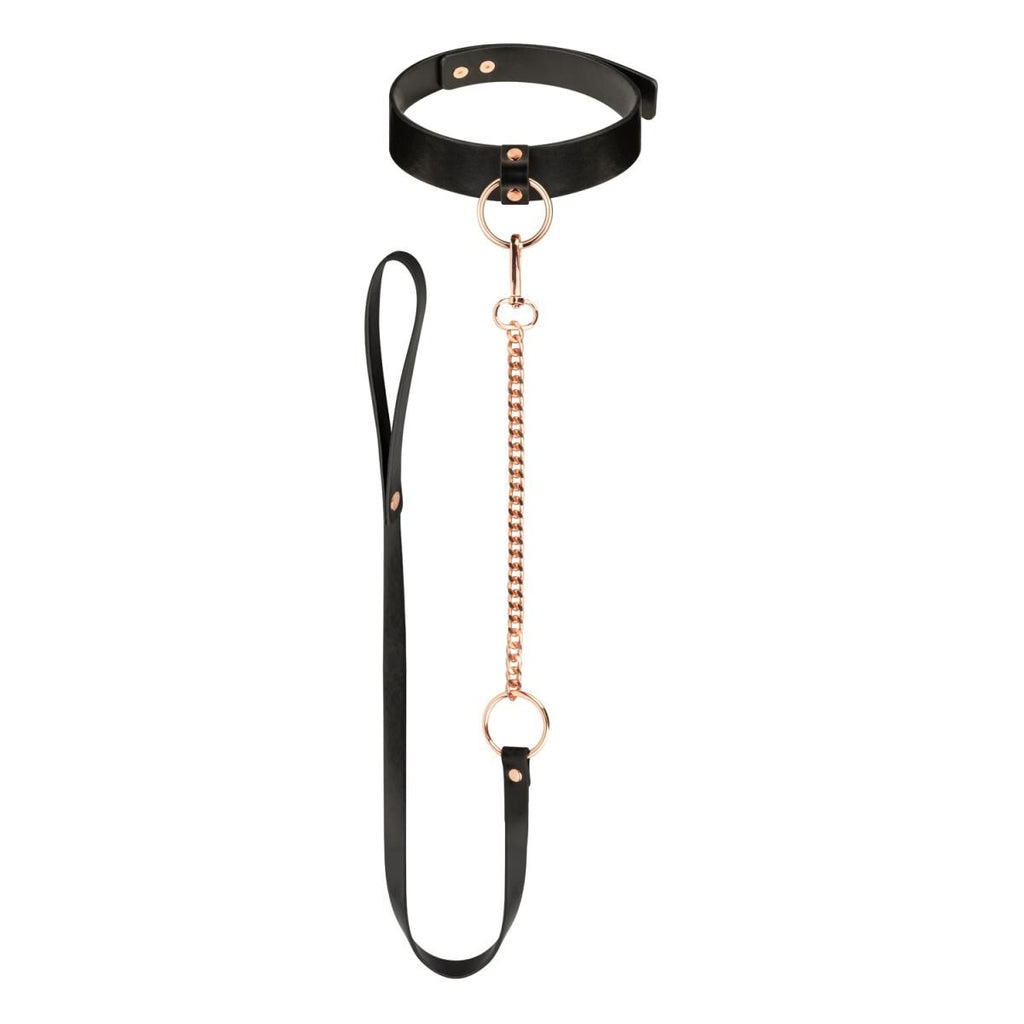 Rosy Gold (Нідерланди) Нашийник з повідцем Rosy Gold - Collar with Leash - Black